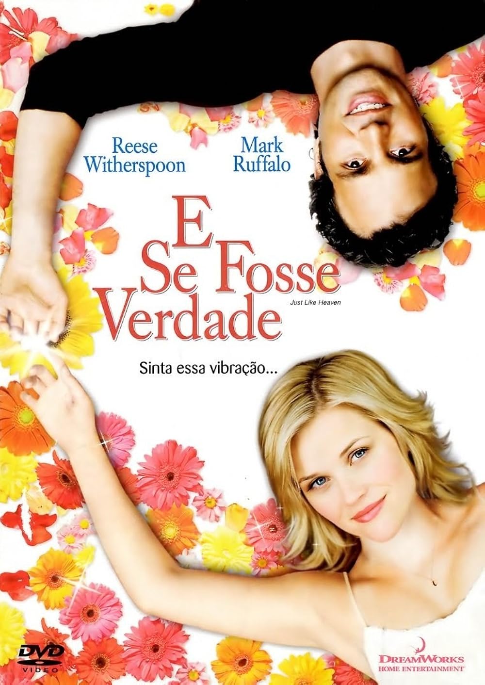 Poster do filme E se Fosse Verdade